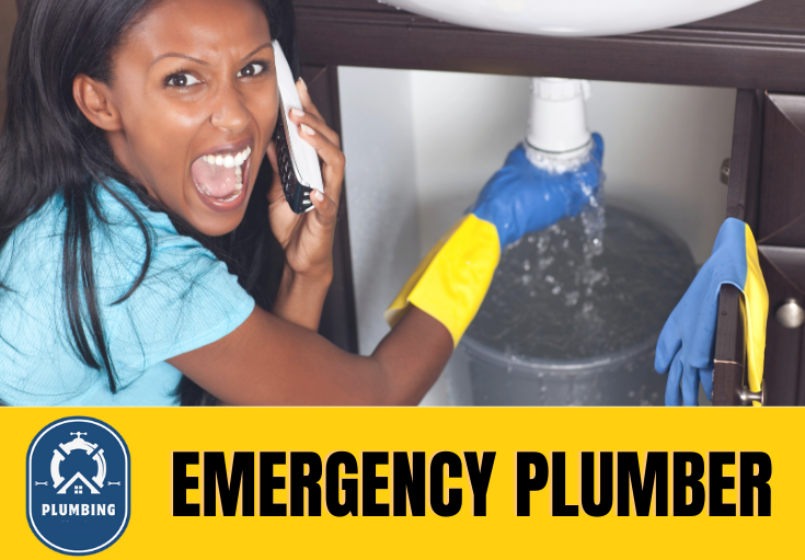 emergency plumber Sale